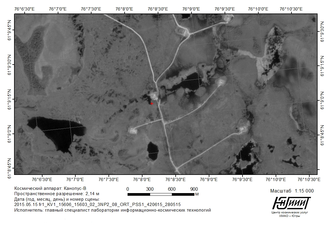 Центр космических услуг способствовал раскрытию экологических преступлений на 4 млрд. рублей