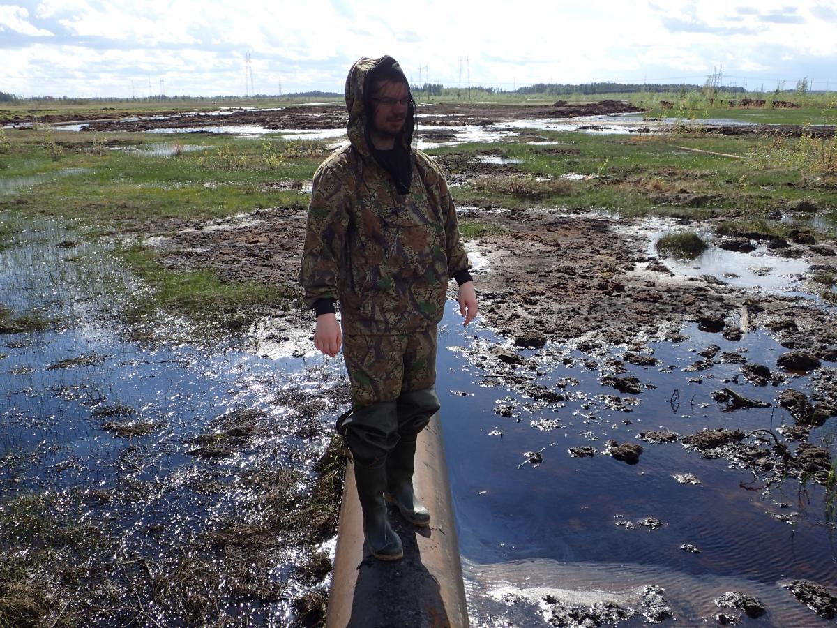 Специалисты ЮНИИ ИТ провели очередные полевые работы