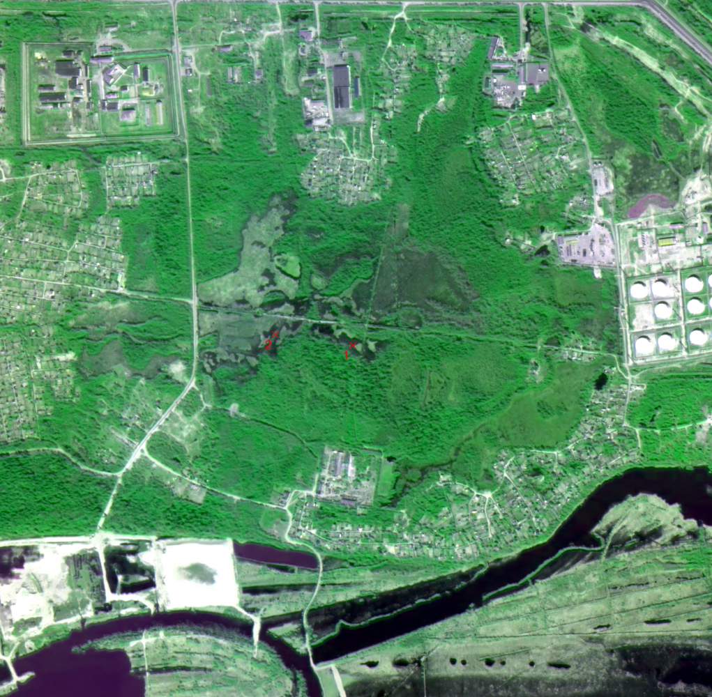 ЮНИИ ИТ оказывает содействие прокуратуре в расследовании экологических преступлений