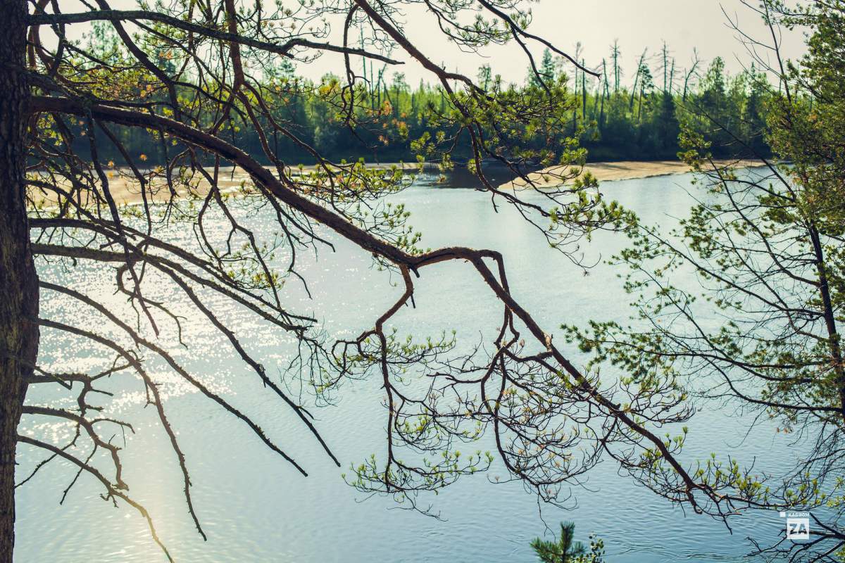 Югорский НИИ информационных технологий принял участие в установке знака в географическом центре Югры