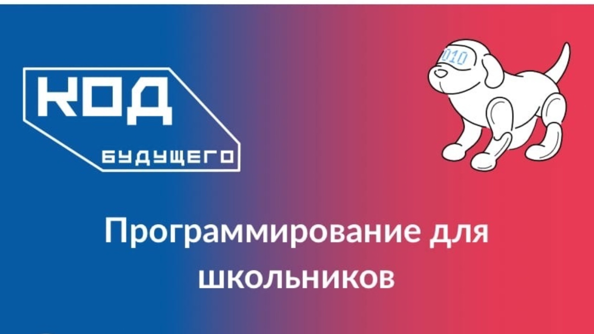 Школьников и студентов бесплатно научат программированию на Госуслугах 